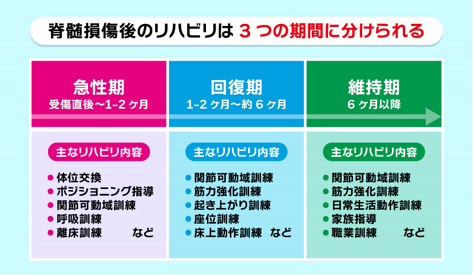 脊髄損傷後の受傷後の期間に応じたリハビリ