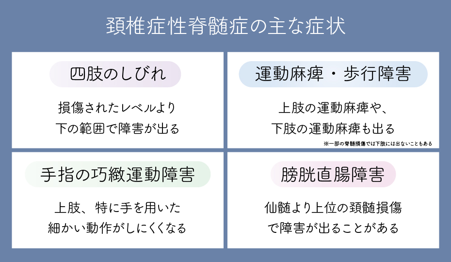 頚椎症性脊髄症の主な症状