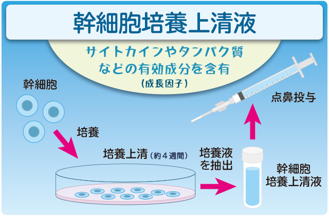 幹細胞上清液
