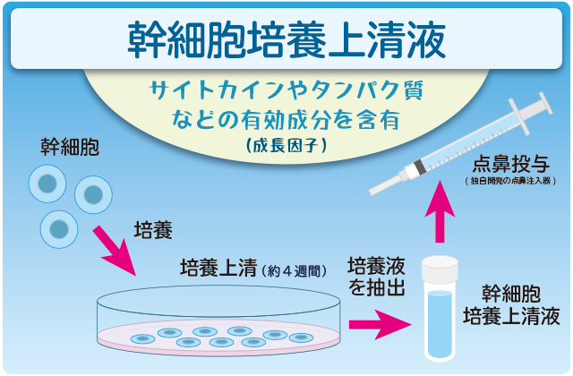 CSF培養の目的は何ですか?