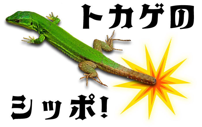 トカゲの尻尾は再生する 脳卒中 脊髄損傷 再生医療専門 ニューロテック メディカル