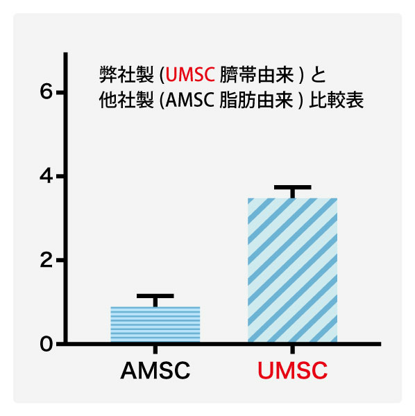 UMSC臍帯由来