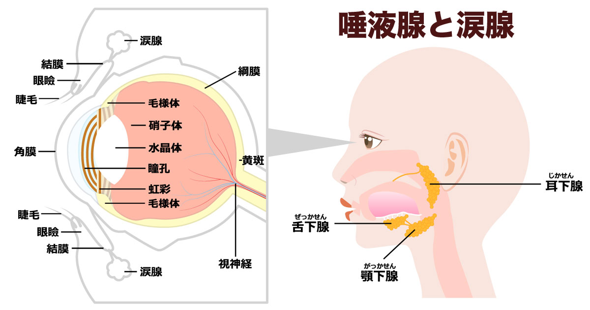 医師はどのように診断するのでしょうか？