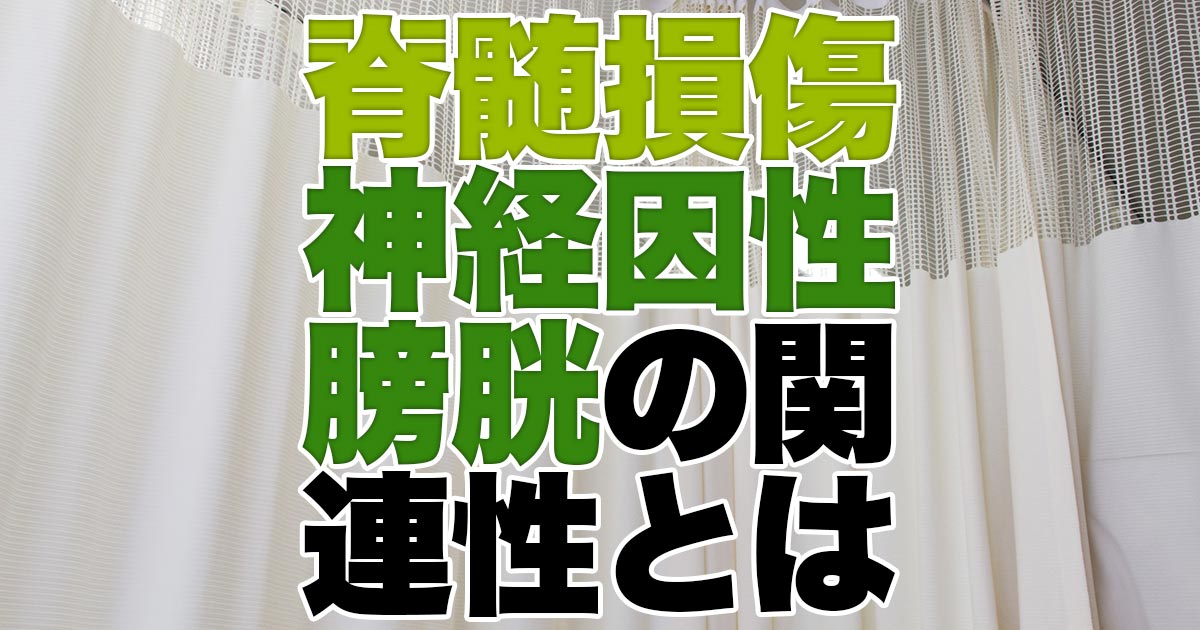 脊髄損傷と神経因性膀胱の関連性
