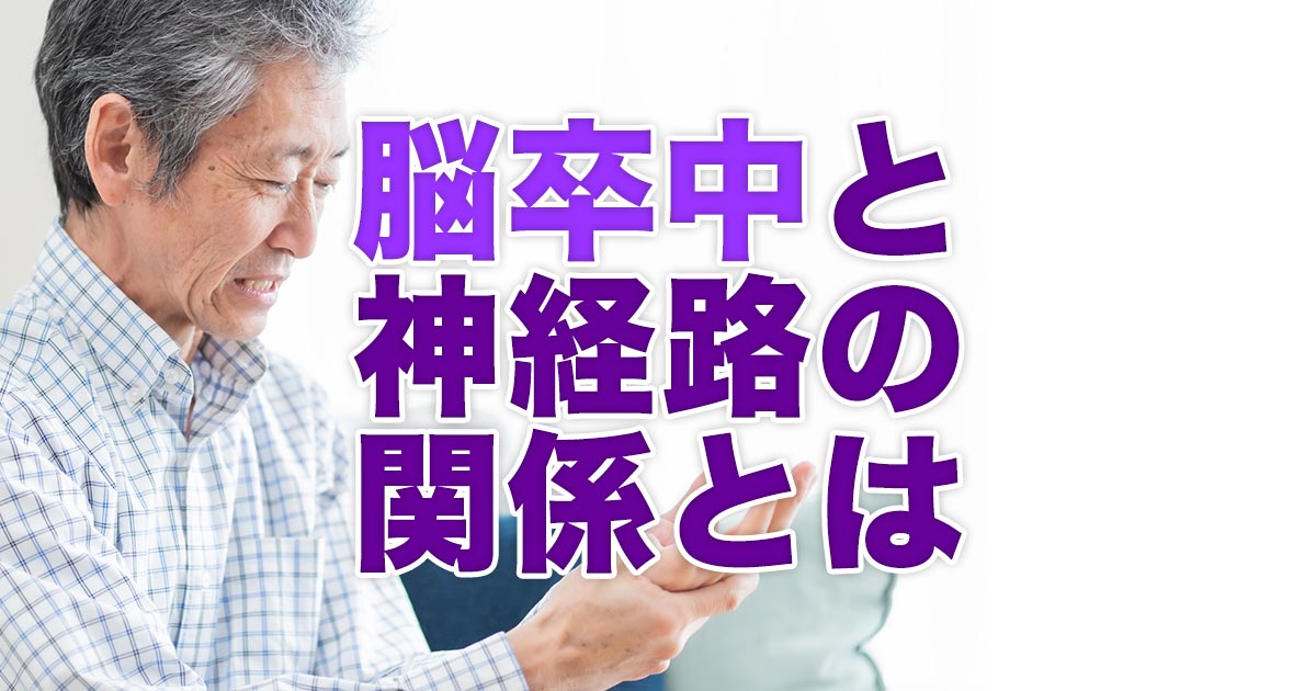 脳卒中とこれらの神経路の関係