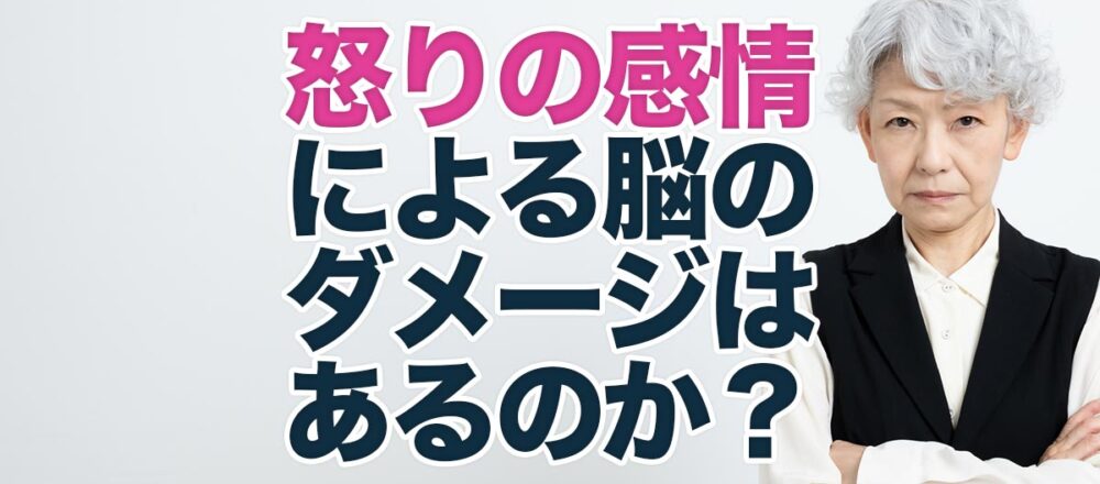 怒りの感情による脳のダメージはあるのか？