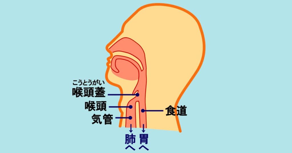 脊髄性筋萎縮症と二分脊椎症はどのように診断されますか?