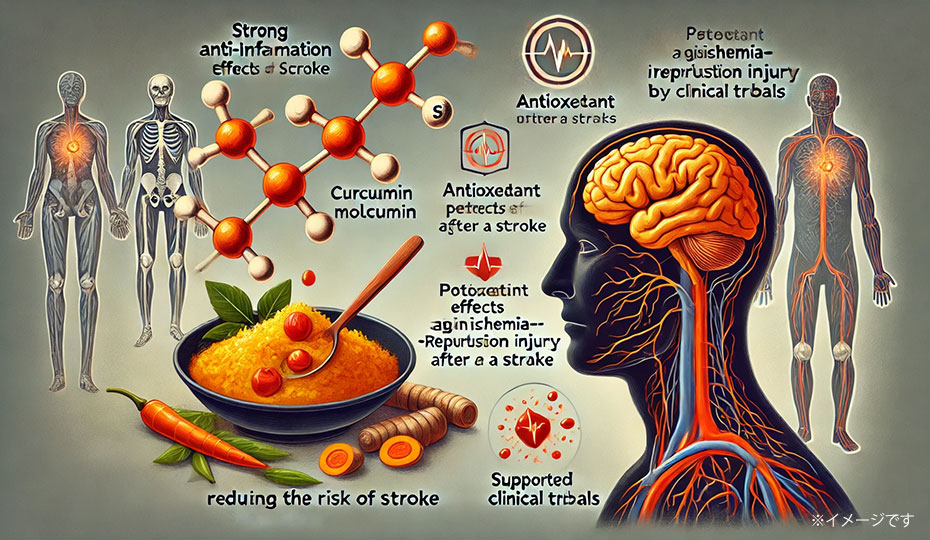 クルクミンが脳に与える影響
