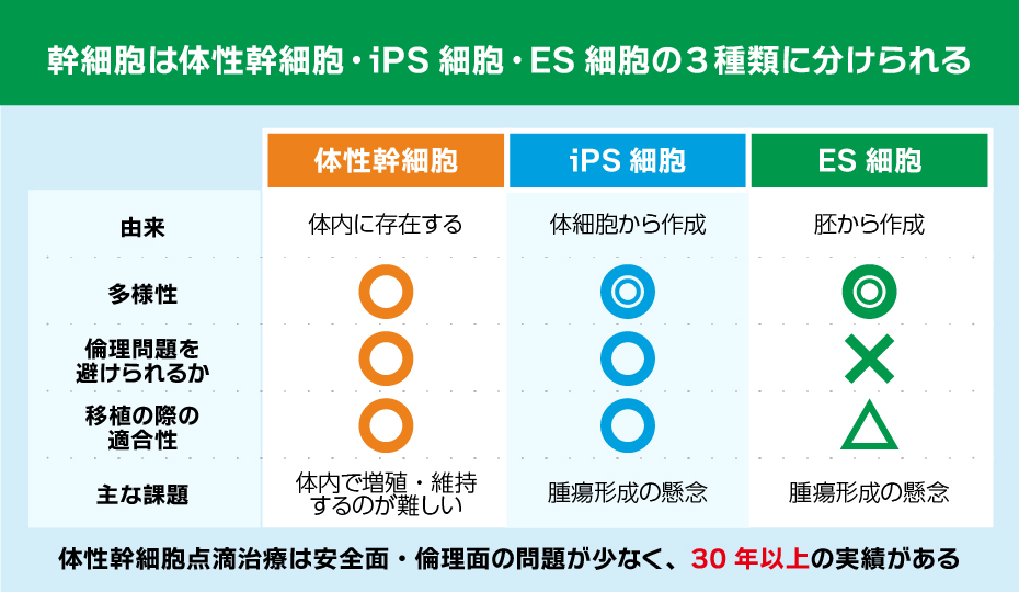 幹細胞の3つの種類