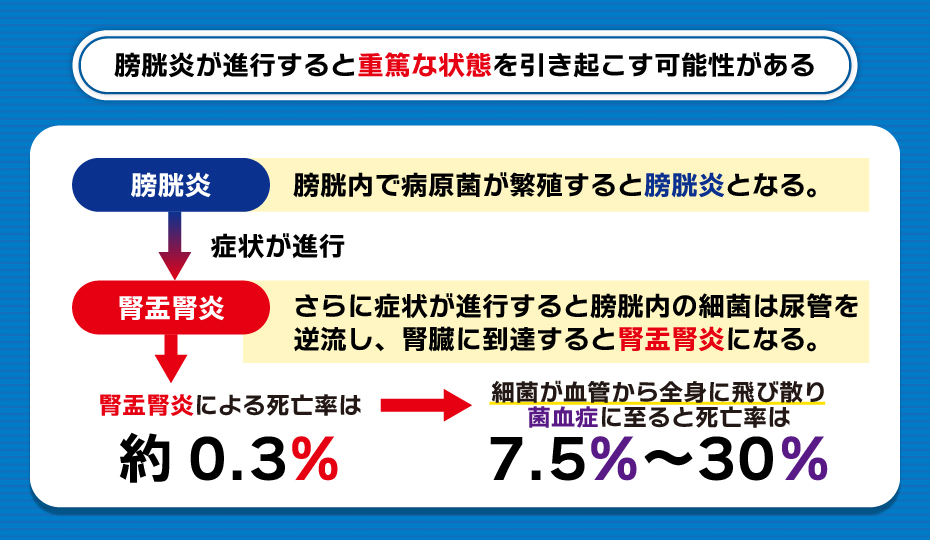 膀胱炎と腎盂腎炎