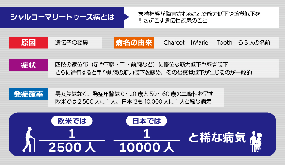 シャルコーマリートゥース病とは