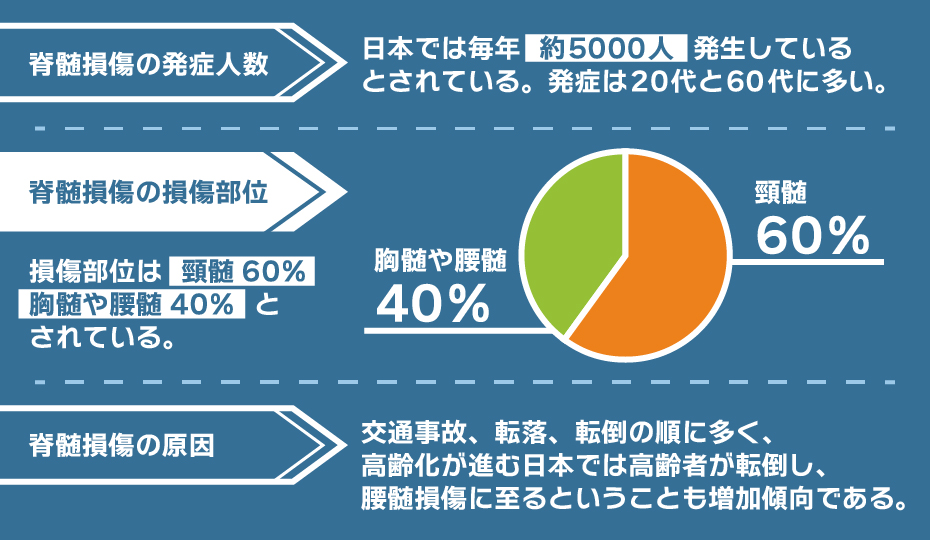 脊髄損傷の発症率と腰髄損傷に至る原因