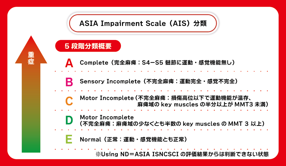 ASIA Impairment Scale（AIS）分類