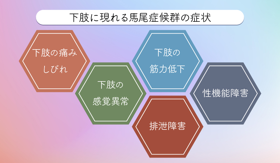 下肢に現れる馬尾症候群の症状