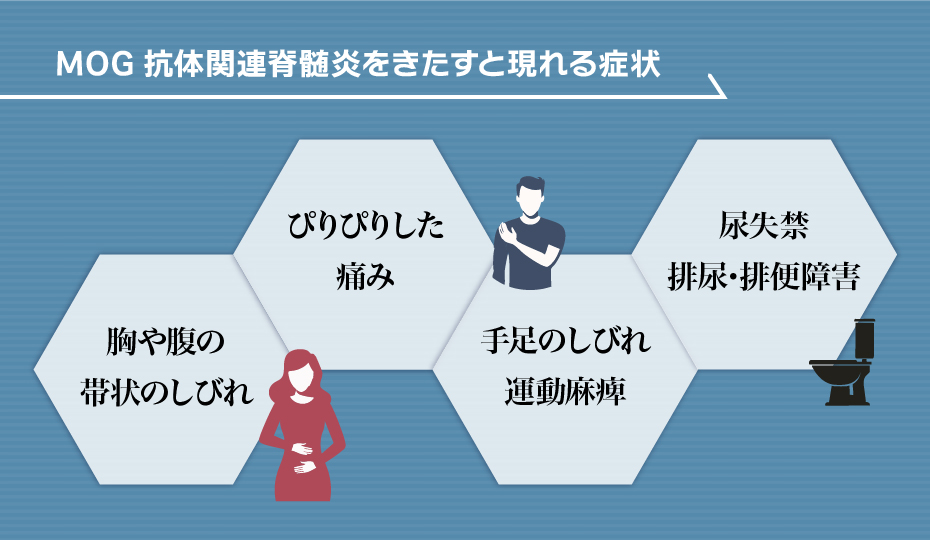 MOG抗体関連脊髄炎をきたすと現れる症状