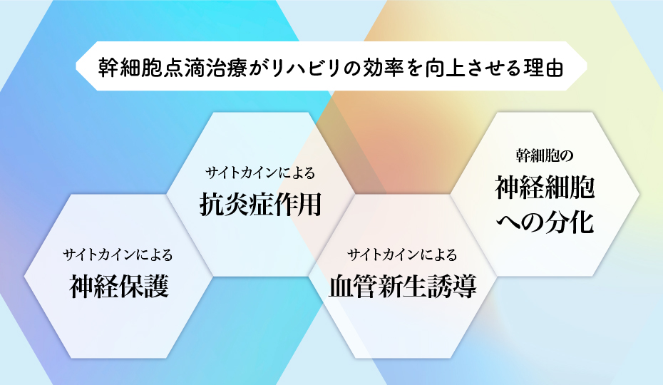 幹細胞点滴治療がリハビリの効率を向上させる理由