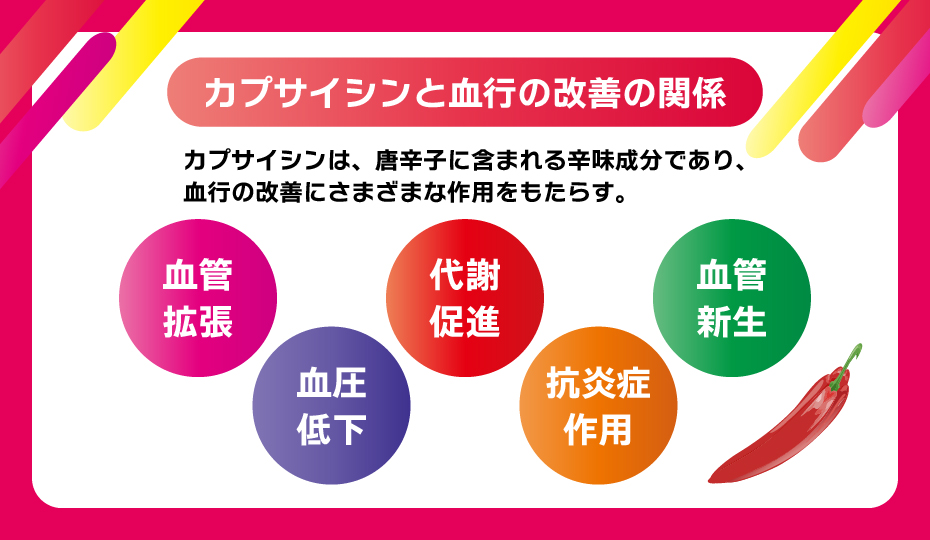 カプサイシンと血行の改善の関係