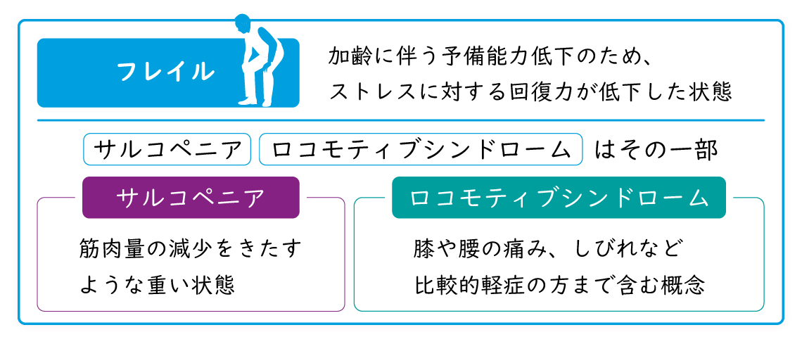 フレイルとサルコペニアとロコモティブシンドロームの違い