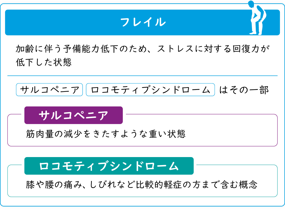 フレイルとサルコペニアとロコモティブシンドロームの違い