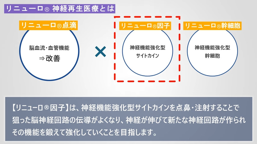 リニューロ🄬神経再生医療とは