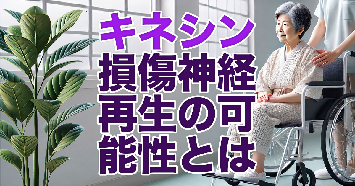 キネシンと神経再生の可能性：損傷神経の修復における分子モーターの役割