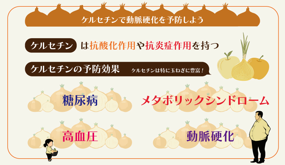 ケルセチンで動脈硬化を予防しよう