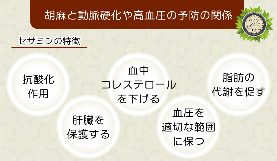 胡麻と動脈硬化や高血圧の予防の関係