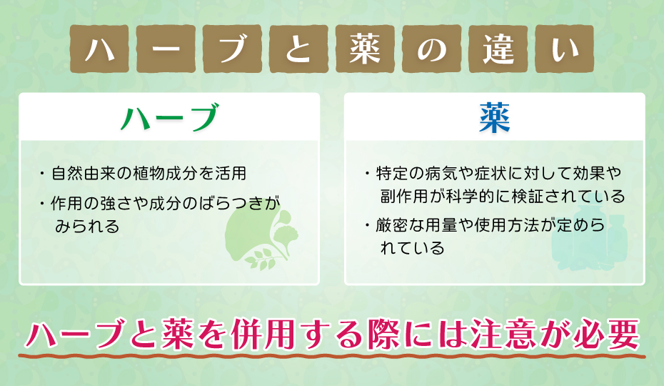 ハーブと薬の違い