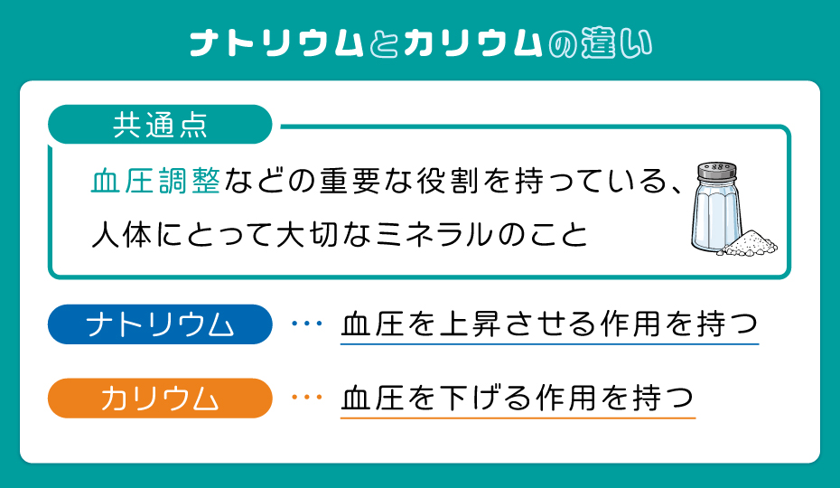 ナトリウムとカリウムの違い