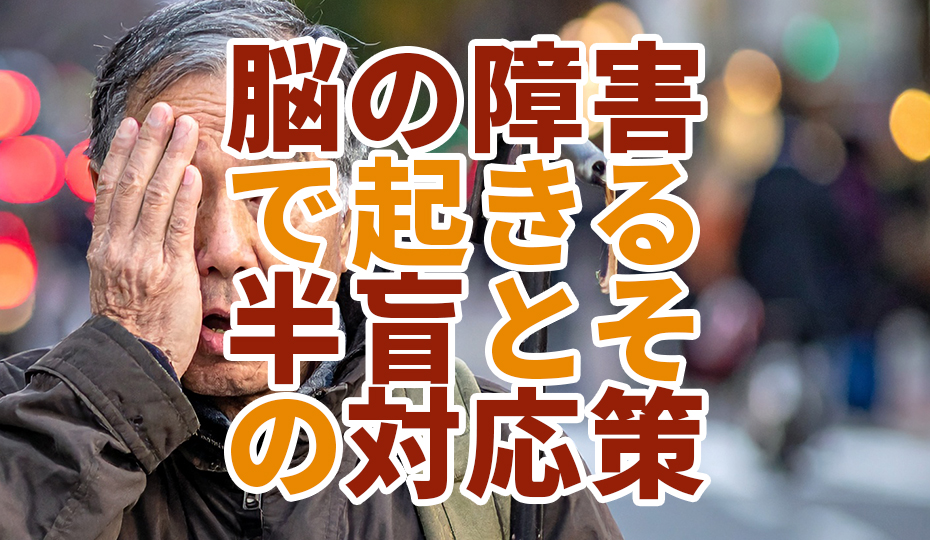 脳の障害で起きる半盲とその対応策