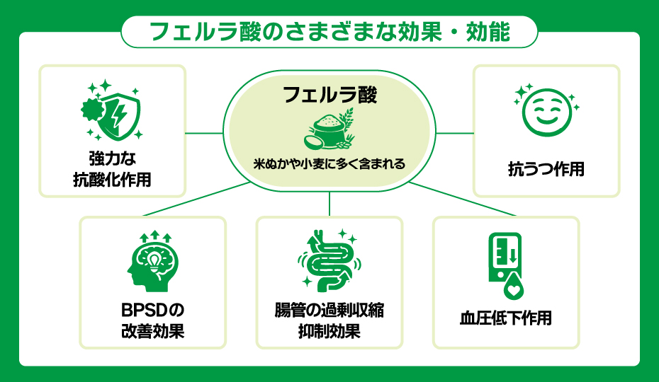 フェルラ酸の5つの効果効能についての体系図