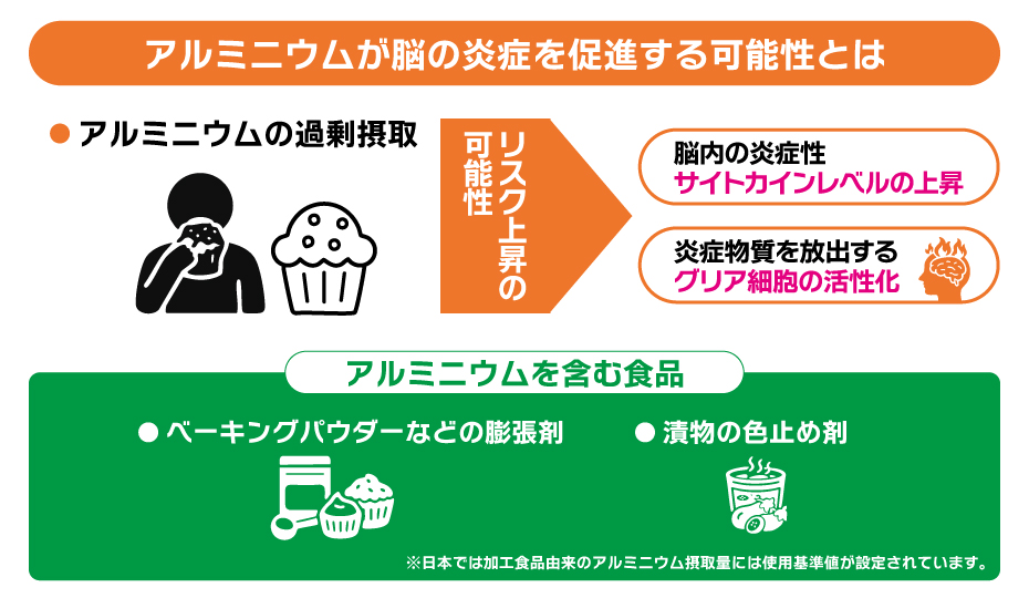 アルミニウムが脳の炎症を促進する可能性についての解説