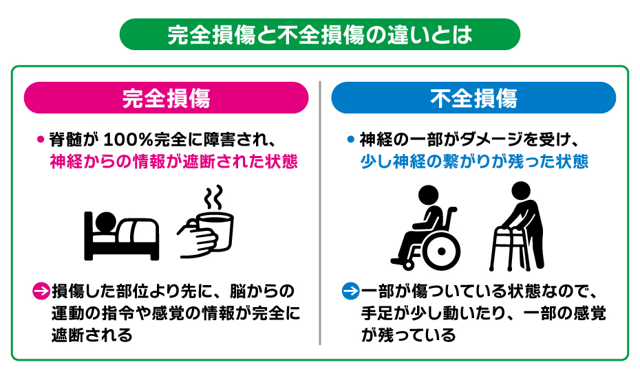 完全損傷と不全損傷の違いを解説した体系図