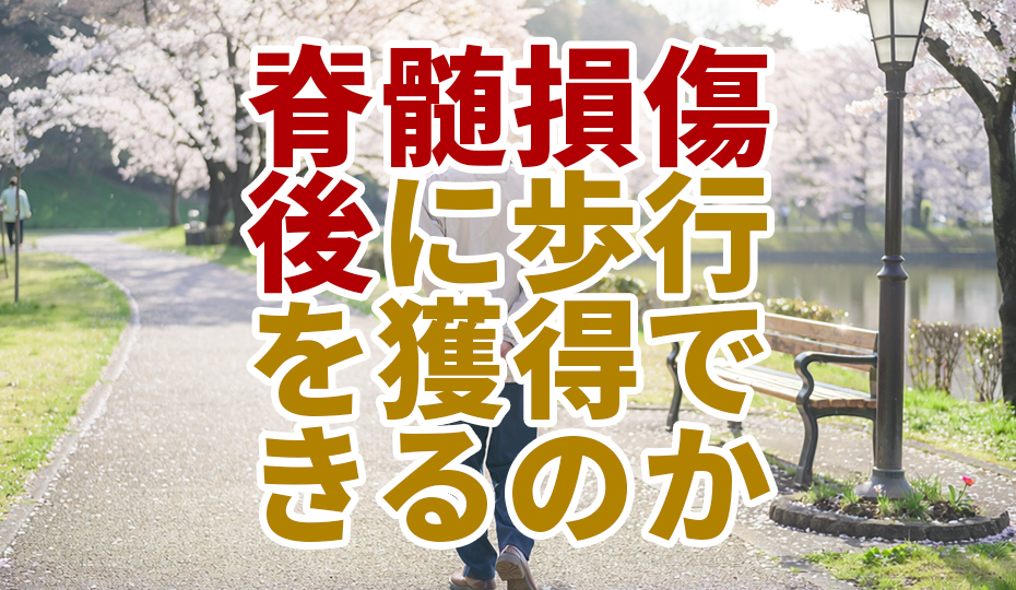 脊髄損傷後に歩行を獲得できるのか？