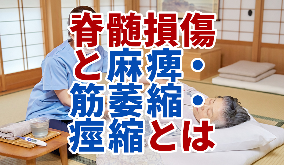 脊髄損傷で筋肉はどう変わる？麻痺・筋萎縮・痙縮のしくみ